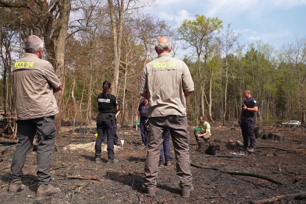 Face aux conséquences drastiques des incendies, les professionnels de Nouvelle-Aquitaine se forment afin d'intégrer une cellule de recherche des causes et circonstances des incendies.