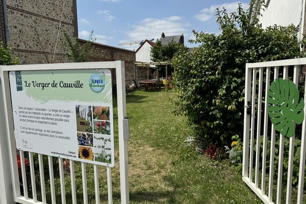 "Le Verger de Cauville" est une association créée en 2022 pour pouvoir partager un jardin et un verger entre voisins de la rive gauche de Rouen (Seine-Maritime).