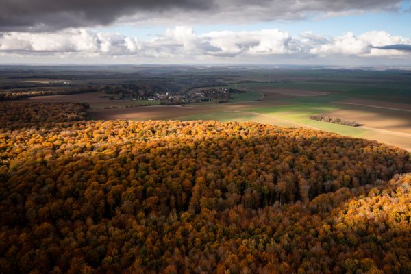 La forêt de Retz est l'une des plus grandes forêts de France.