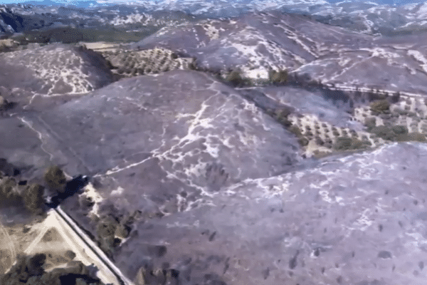 Mouriès, le 4 février 2023 : 110 hectares de végétation ont été parcourus par les flammes. Au delà du vent qui soufflait en rafales, la principale cause de propagation de cet incendie reste la sécheresse.