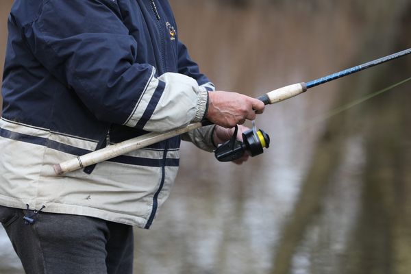 Interdiction de pêcher dans 3 lacs du Tarn, leur niveau étant trop bas.