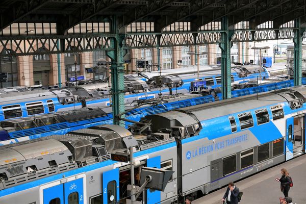 Des TER aux couleurs de la région Auvergne-Rhône-Alpes en gare de Perrache à Lyon.