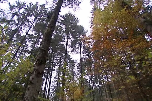 Rechauffement climatique la Franche-Comte deja  photo