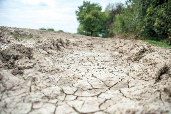 Dans le Cantal, de nouvelles restrictions de l'usage de l'eau ont été mises en place par la préfecture en raison de la sécheresse.