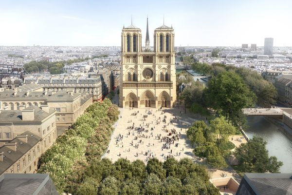 Le nouveau parvis de la cathédrale plus arboré, conçu "comme une clairiére".