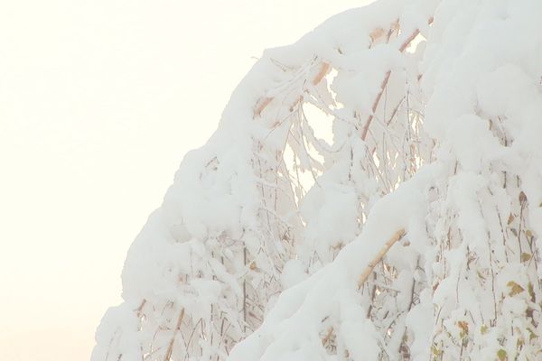 C'est une neige lourde et humide tombée en abondance ces derniers jours qui est à l'origine de l'avalanche en Italie