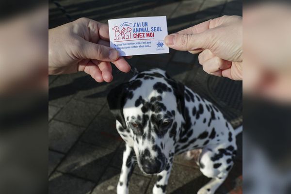 Une carte permet d'identifier les personnes à contacter pour s'occuper des animaux lorsque leurs propriétaires sont hospitalisés.