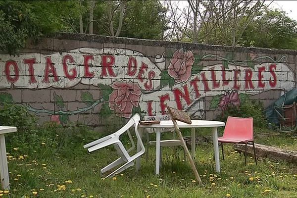 Le quartier des Lentillères a vu le jour en 2010 à Dijon