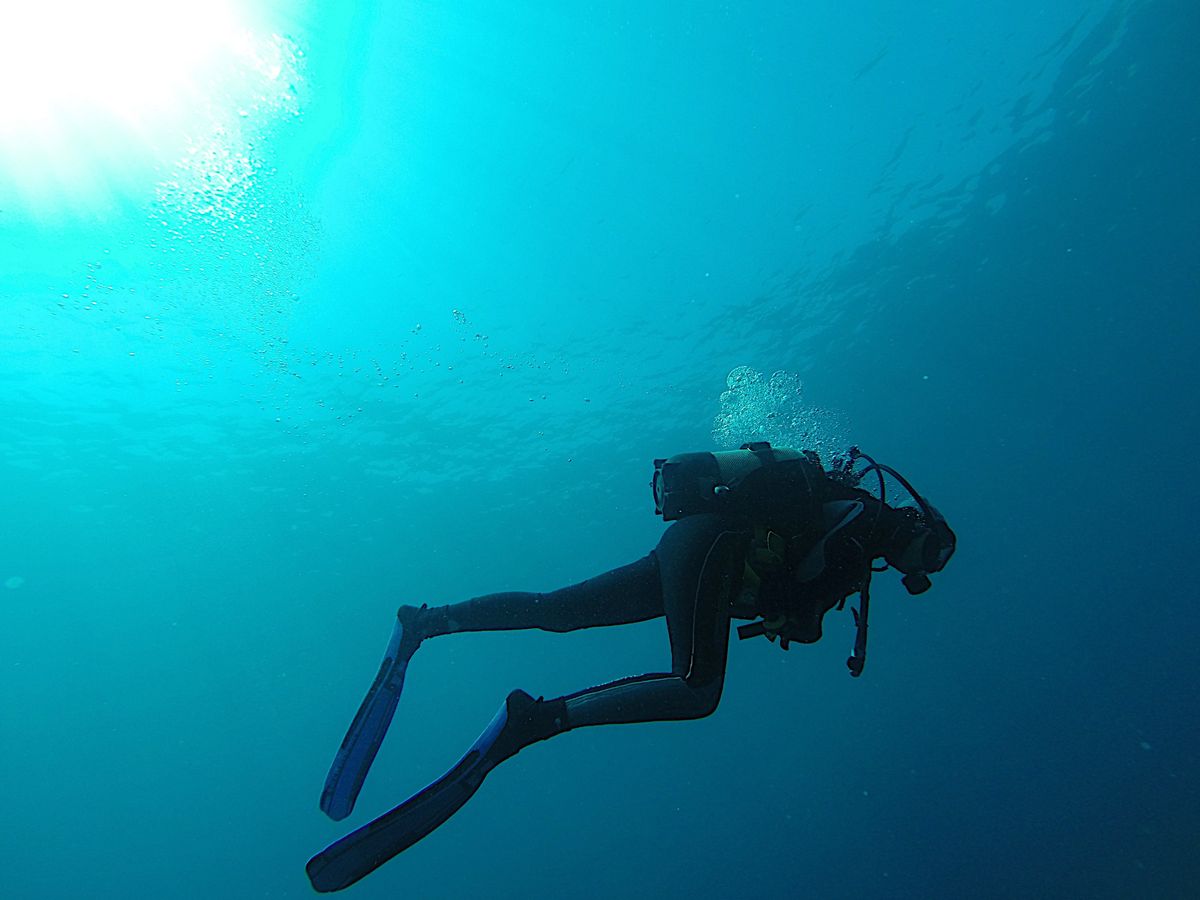 Voici les nombreux bienfaits de la plongée sous-marine