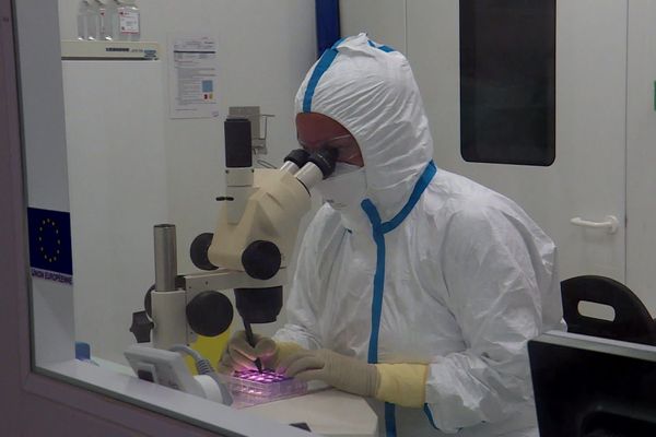 Le laboratoire Valneva à Nantes travaille également sur un vaccin contre la maladie de Lyme