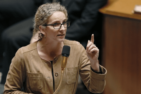 Delphine Batho, ministre de l'Ecologie, à l'Assemblée nationale, le 19 mars 2013.