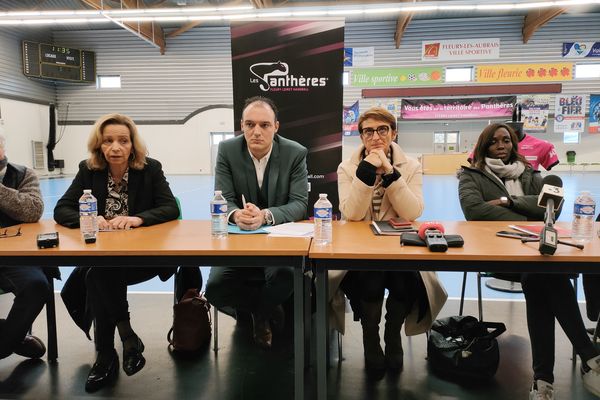 Le Fleury Loiret Handball en liquidation judiciaire, la fin d'un monument du handball féminin français