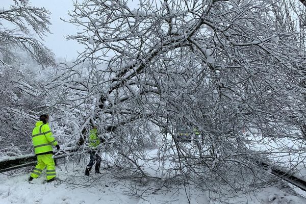 De nombreux arbres tombés sous le poids de la neige sont à dégager des routes