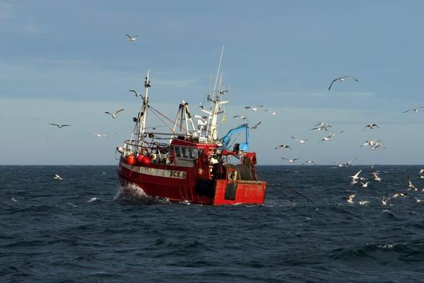 Plusieurs navires ont désormais accès aux eaux du bailliage de Guernesey depuis le Brexit, grâce à des autorisations. 