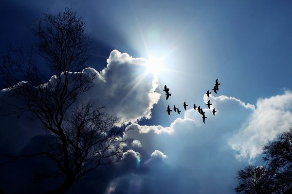 Il fait beau et très doux