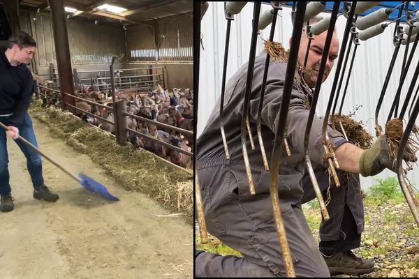 Valérie Leau éleveuse à Orches et Sébastien Desgris céréalier à Cuhon, dans la Vienne