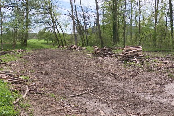 Un corps retrouvé enterré dans une zone boisée de la commune de Thoraise dans le Doubs, samedi 22 avril 2023.