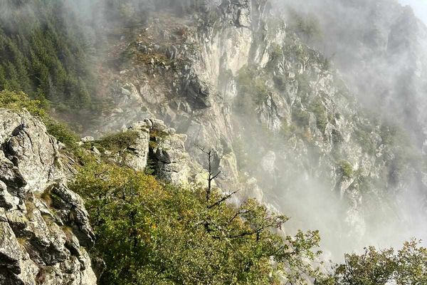 Fabien, le fils de Charly Salamito disparu le 19 octobre 2023, est descendu dans un sous-bois escarpé dans la forêt du Somail (Hérault) pour retrouver la trace de son père.