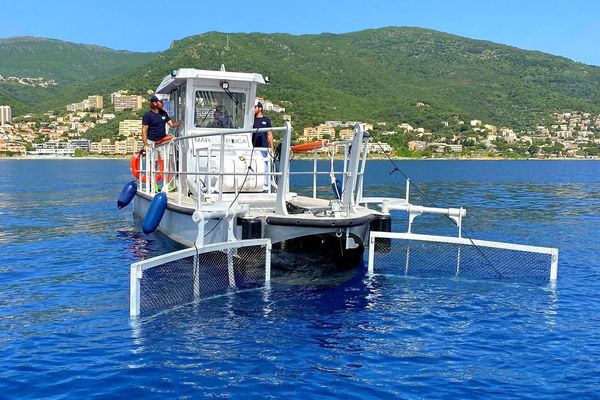 Toute l'année, le bateau de Marecorsica sillonne le littoral corse. "Ce sont des quantités énormes que l'on ramasse".