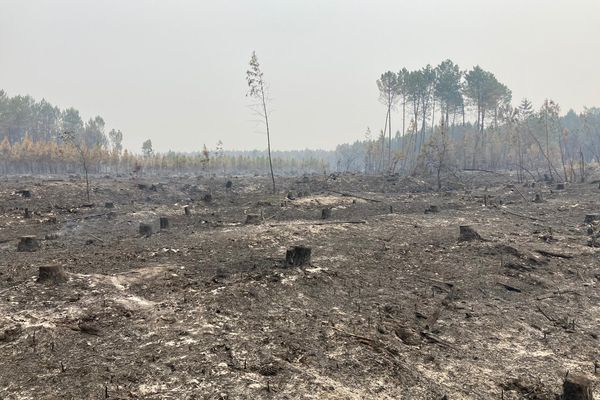 Les paysages dévastés autour de la commune de Balizac témoignent de la violence de l'incendie