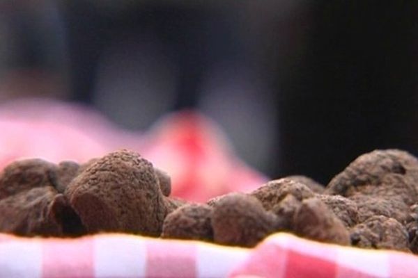 Des truffes, sur le marché de Limogne-en-Quercy dans le Lot.