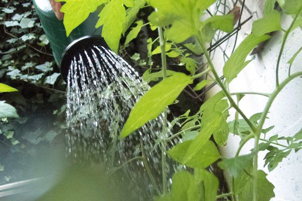 Pour endiguer la sécheresse, la préfecture de l'Oise incite les usagers à réduire leur consommation d'eau.