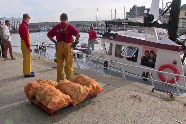 3 octobre 2022 - Les premiers sacs de coquilles Saint-Jacques de la saison débarqués sur le quai du port de Dieppe après la pêche de la nuit.