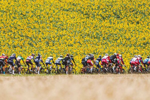 L'une des belles images du Tour de France : le peloton perdu dans la nature