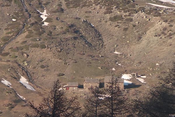 Depuis l'hivers 1971, les Alpes ont perdu un mois de chutes de neiges