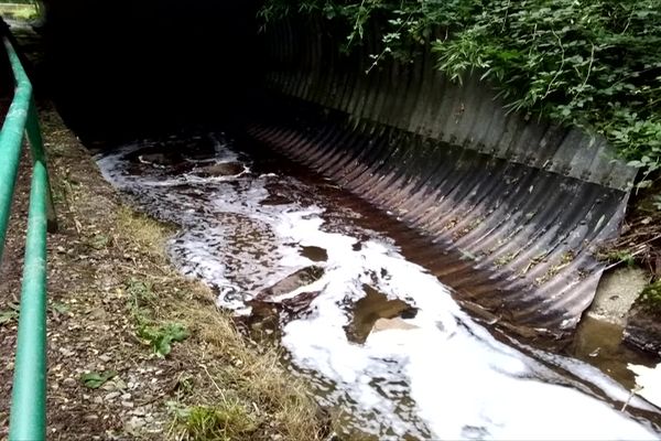 Condamnation du gérant et de sa société déclarés responsables de la pollution de l'auzette en juillet 2020