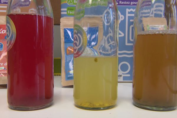 Kéfir et kombucha, des boissons étonnantes.