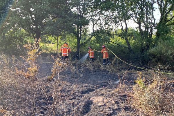 Plus d'une centaine de pompiers ont été mobilisés sur ces multiples départs de feu.