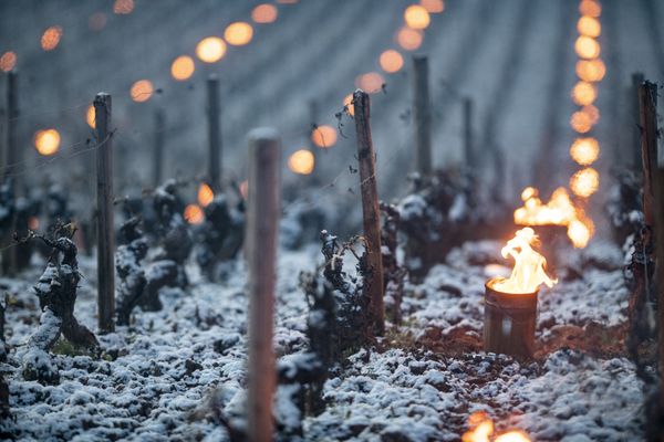 La chaleur du feu pour lutter contre le froid dans les vignes (photo d'illustration).