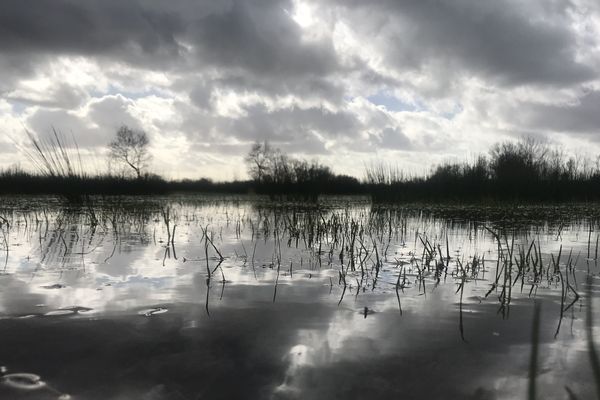 le marais poitevin