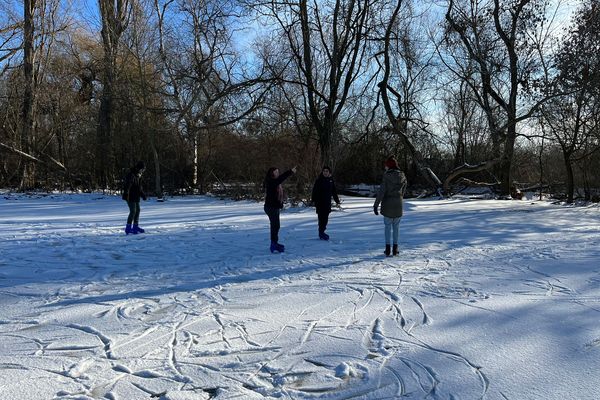 Lorsque le gel intense succède aux inondations, les prairies du Ried se transforment en patinoire naturelle pour le plus grand plaisir des amateurs de glisse.