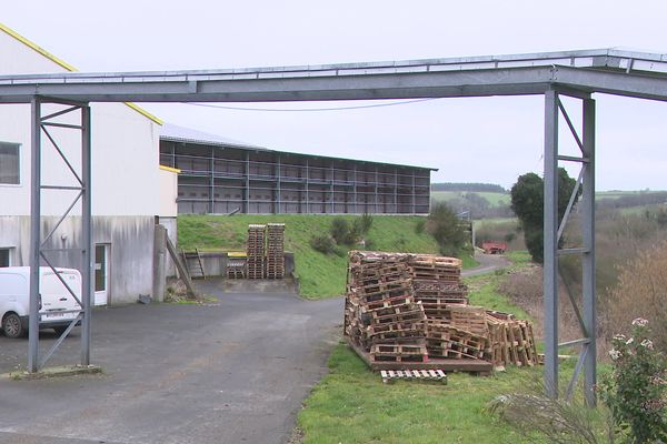 200 000 volailles à Saint Connan, 90 000 à Saint Péver. Deux nouveaux foyer d'influenza aviaire ont été déclarés ce 17 février.