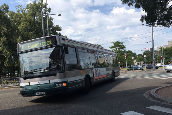 Les bus paraissent moins austères une fois habillés.