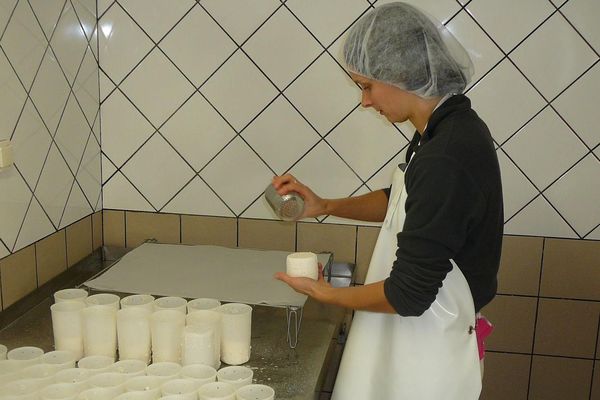 Une centaine de cabécous sont produits chaque jour mais faire un seul fromage demande 10 jours de patience.
