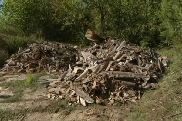 Les déchets contenant de l'amiante ont été abandonnés en pleine forêt.