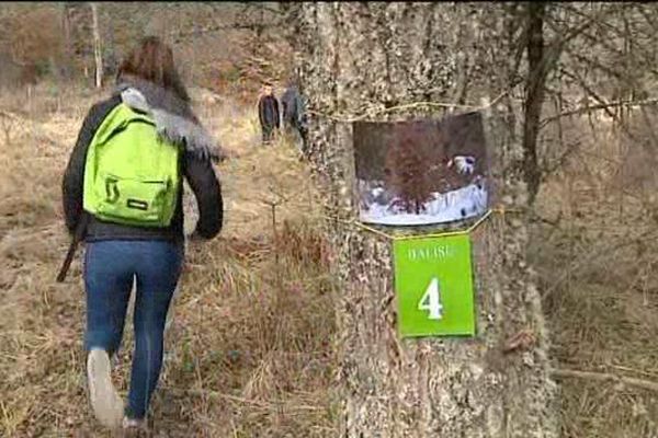 Une vingtaine de balises doit être trouvée par les enfants dans la forêt de la Pinatelle dans le Cantal