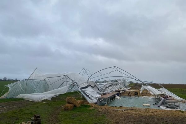 Le vent violent a détruit toute la serre la nuit du 13 au 14 mars 2023.