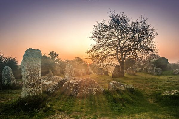 Soleil d'hiver sur les menhirs de Kerzerho - Erdeven - Morbihan