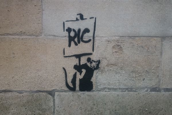 Le rat anarchique supposé de Banksy à Bordeaux.