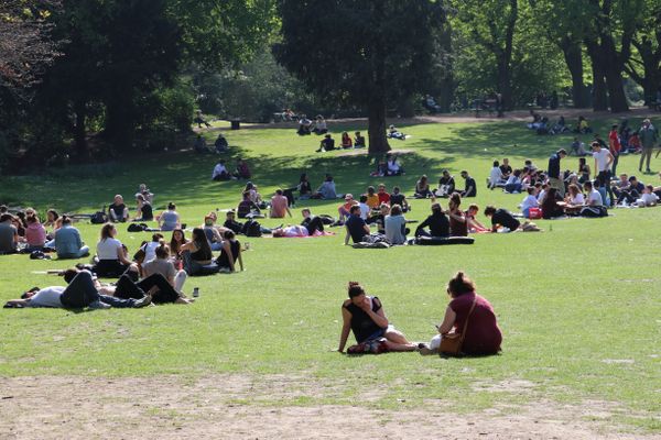 Le soleil règne en maître ce dimanche 18 juillet 2021 sur l'ensemble des Hauts-de-France. Avec jusqu'à 26° dans les terres, les promeneurs dominicaux chercheront peut-être l'ombre des arbres dans les parcs de la région.