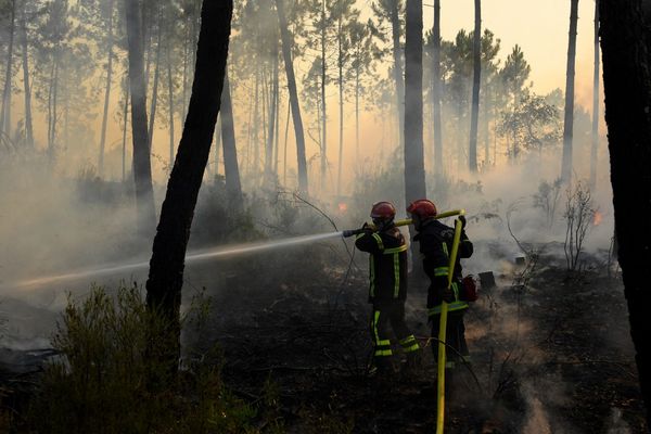 Les forêts franciliennes, souffrantes du manque d'eau, sont sujettes aux incendies. (Illustration)