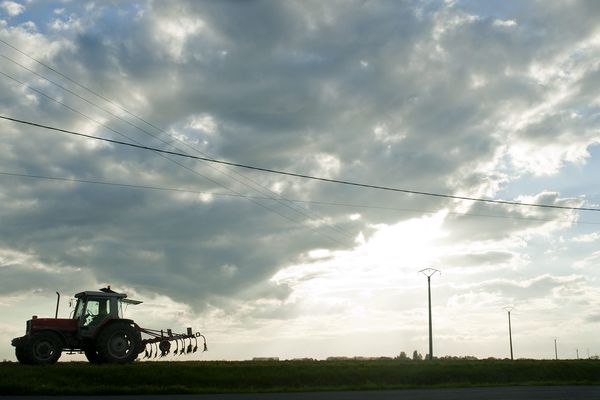 Les pesticides ont entraîné de nombreuses maladies chez les agriculteurs qui veulent se faire reconnaître