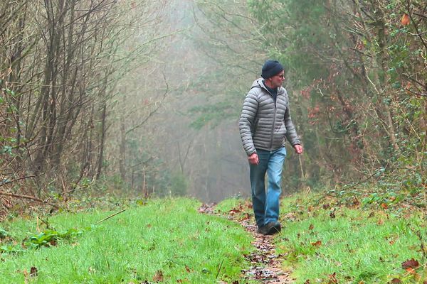 Vingt-cinq ans auparavant, Pierre Courtaud découvrait une forêt de Mervent totalement ravagée par les tempêtes de 1999