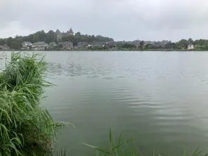 Un cas de grippe aviaire a été détecté dans un élevage de volailles, lundi 12 août dans le pays de Combourg, au nord de l'Ille-et-Vilaine.