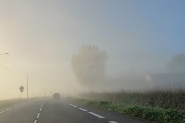 Brumes matinales à Lambersart (59)