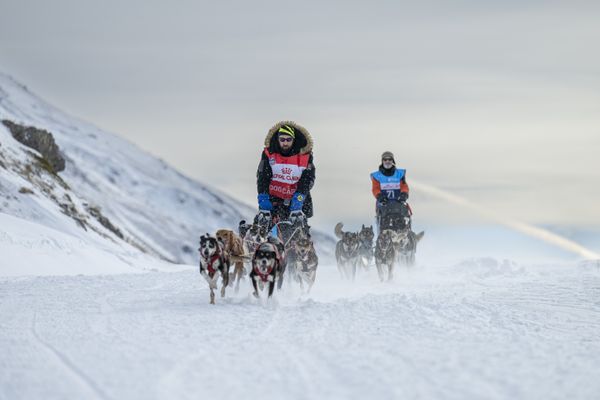 La Grande Odyssée 2025 se déroulera du 11 au 23 janvier.